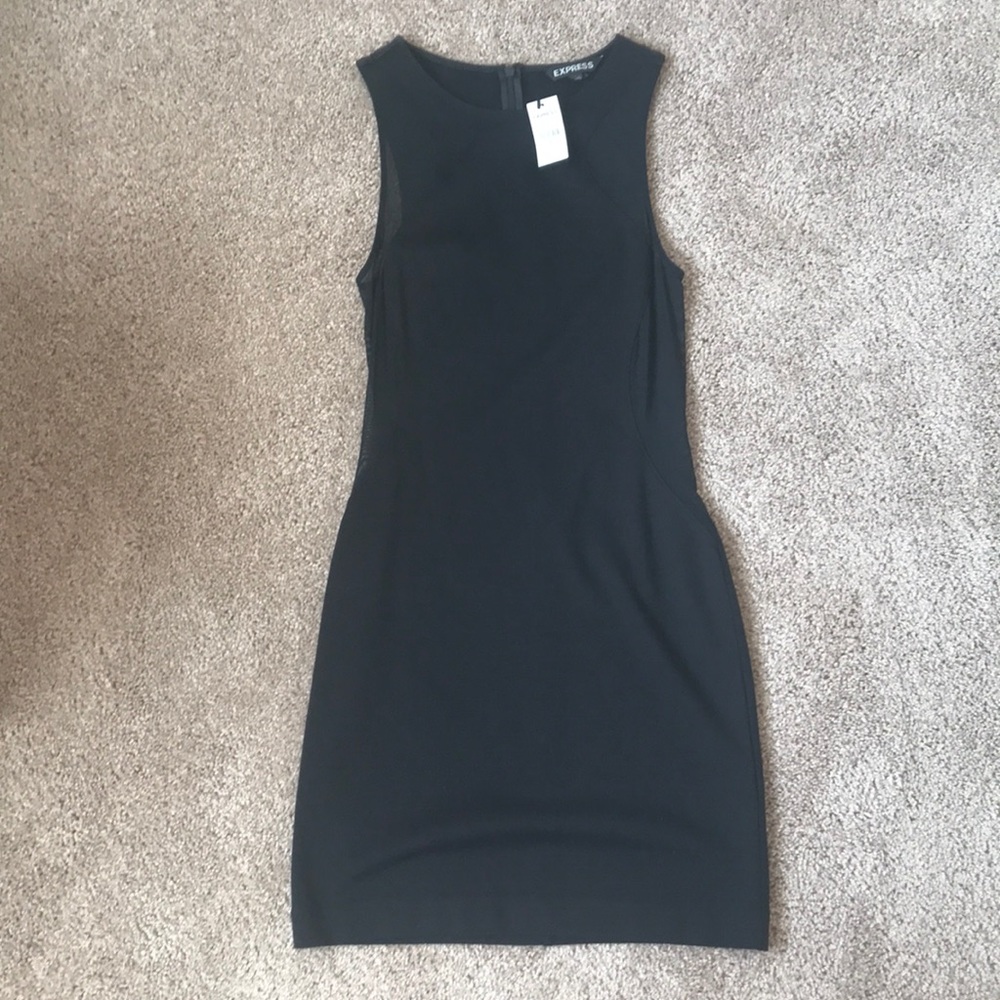 Express Size 6 dress